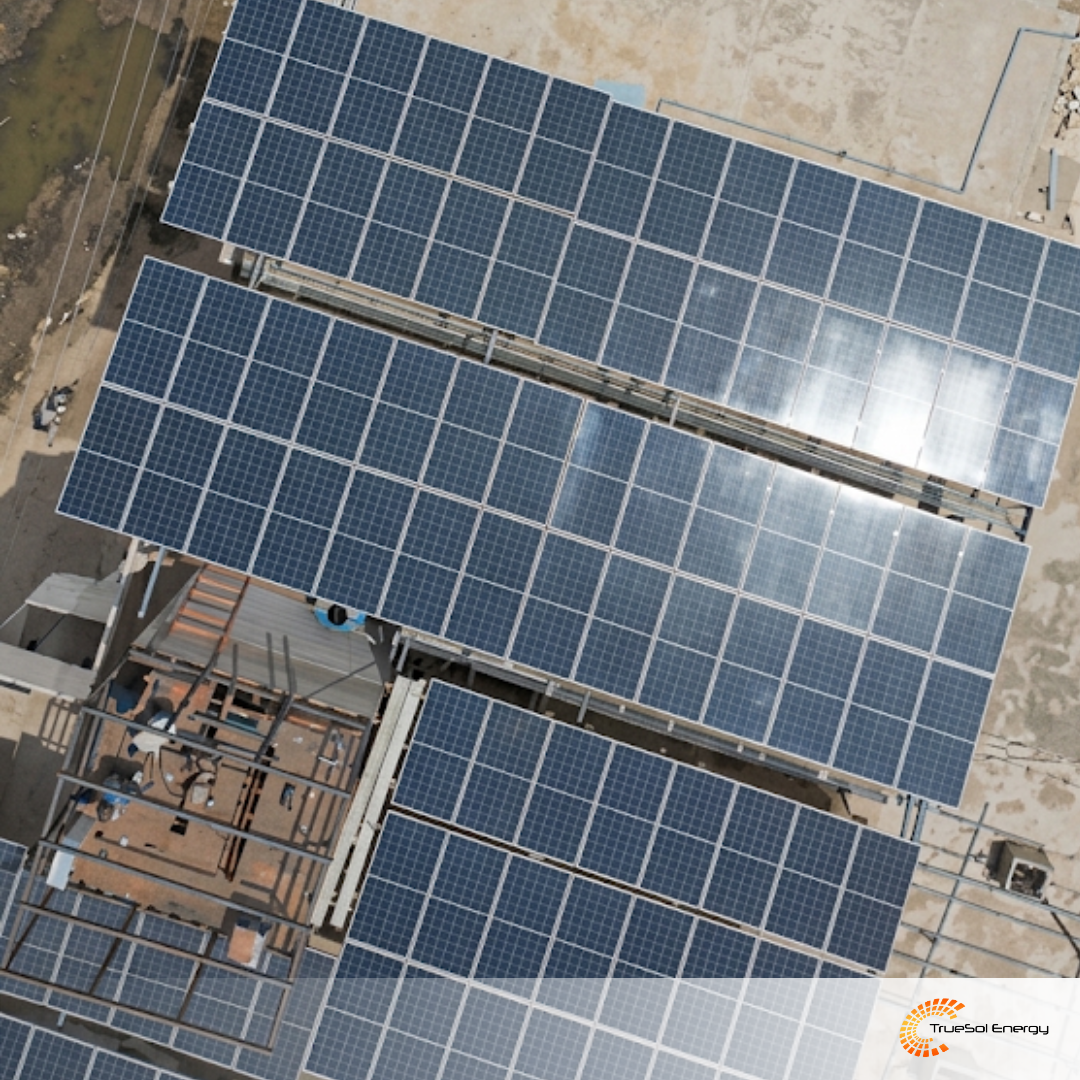 Ice Factory Industrial Solar Installation